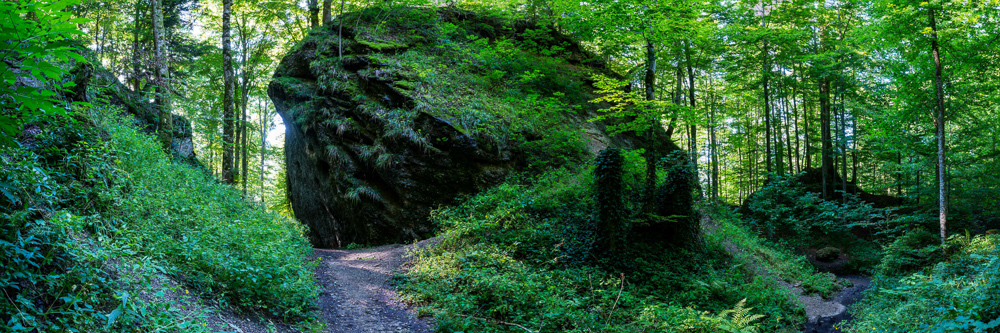 Platz 11 Christian Reichert